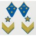 Петлицы командный состава, ВВС, Генерал-лейтенант, обр. 1940 г.